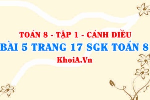 Bài 5 trang 17 SGK Toán 8 tập 1 Cánh Diều